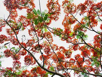 《不朽者传奇》PC版现已移除了D加密系统