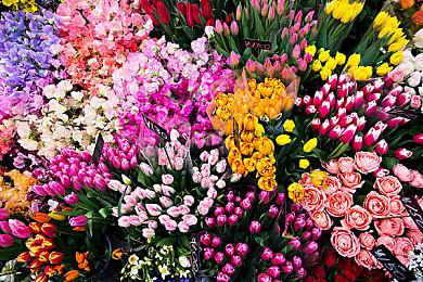 《蓝精灵2：绿石之囚》Steam页面上线 年内发售